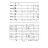 Te Deum laudamus, op. 311 (S1,S2,A,T,B1,B2) - Image 2