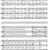 Tuba mirum, op. 276 (S1,S2,A,T,B1,B2) - Image 3